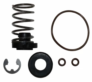 1" NOZZLE VALVE REPAIR KIT